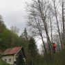 04_2017 Kaceni 6ks olsi na Psovce v Kokorinskem dole